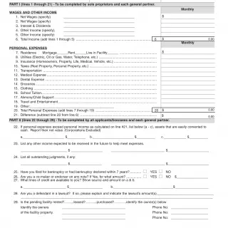 LIC 401A - Supplemental Financial Information