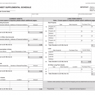 LIC 403A - Balance Sheet Supplemental Schedule