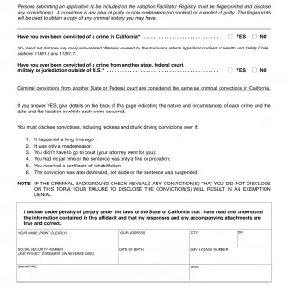 LIC 508A - Criminal Record Statement - Adoption Facilitator