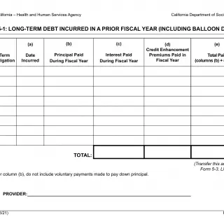 LIC 9265  Form 5-1: Long-Term Debt Incurred In A Prior Year