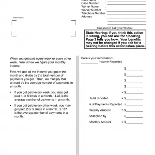 NA 1239 SAR - Notice Of Action - Continuation Page - Semi-Annual Reporting Budget