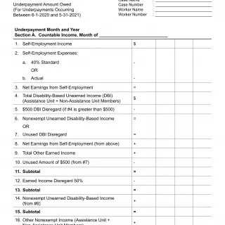 NA 281C - Notice Of Action Continuation Page - Underpayment Amount Owed