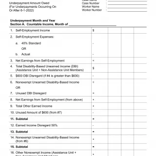 NA 281EВ  - Notice Of Action Underpayment Amount Owed