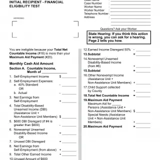 NA 300 - Notice Of Action - Continuation Page - Recipient Financial Eligibility Tests