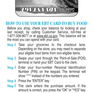 PUB 390 - California Electronic Benefit Transfer (EBT) Card - How To Use Your EBT Card To Buy Food - Single Column