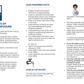 PUB 515 - Risks and Effects ofВ Lead Poisoning