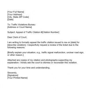 Traffic Ticket Appeal Letter Sample Traffic Ticket Appeal Letter Sample