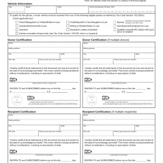 TxDMV 14-317 - Affidavit of Motor Vehicle Gift Transfer