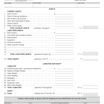 LIC 403 - Balance Sheet