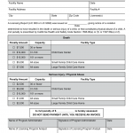 LIC 421D - Civil Penalty Assessment Death/Serious Injury/Physical Abuse