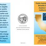 PUB 370 - Public Assistance Benefits For Asylees In California (Use Starting May 1, 2022)