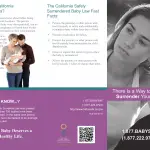 PUB 400 - Safely Surrendered Baby Campaign Brochure