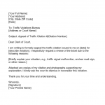 Traffic Ticket Appeal Letter Sample