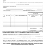 TxDMV VTR-29-NAFTA-S - Texas NAFTA Permit Application